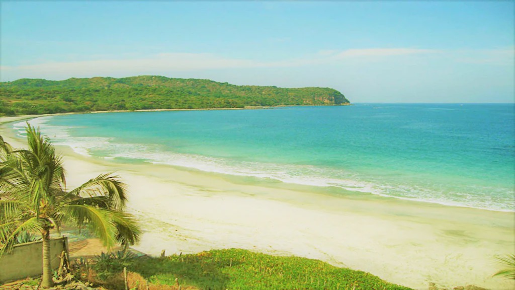 Photo of Others in Punta Negra