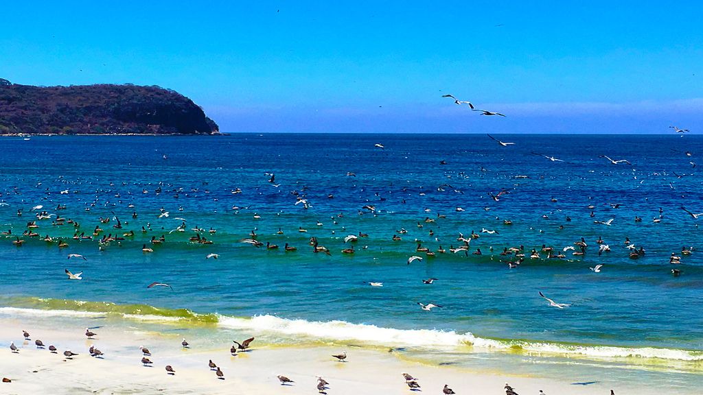 Photo of Outdoor in Punta Negra