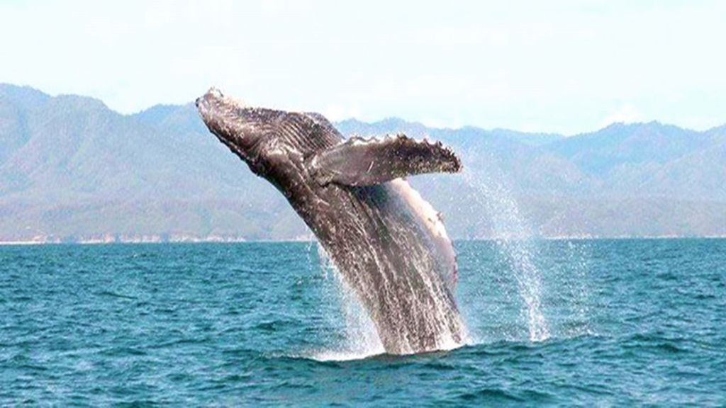 Photo of Outdoor in Punta Negra