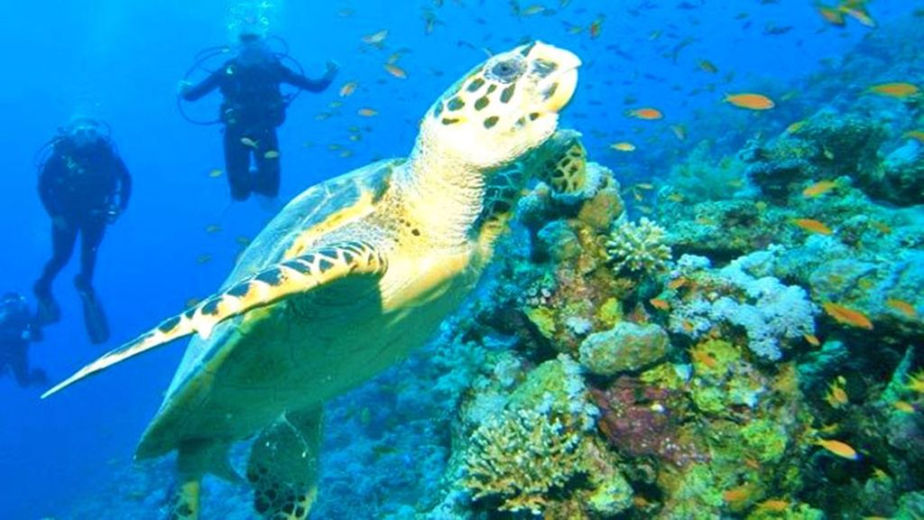 Photo of Outdoor in Punta Negra