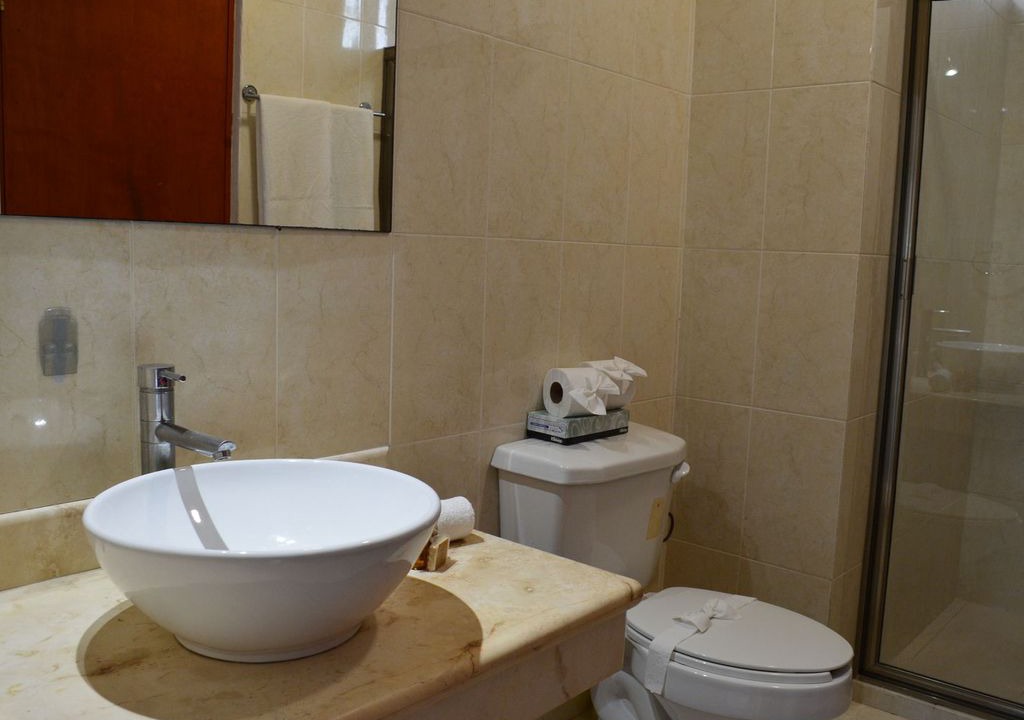 Photo of Bathroom in Tohoku