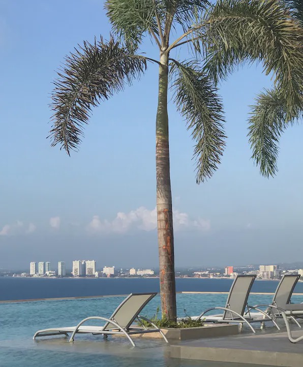 Photo of Outdoor in South Shore Hotel Area