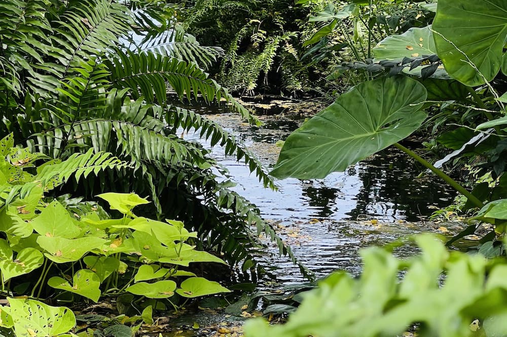 Photo of Outdoor in La Laguna