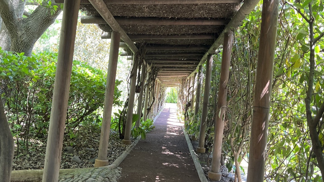 Photo of Outdoor in Tepeji del Rio