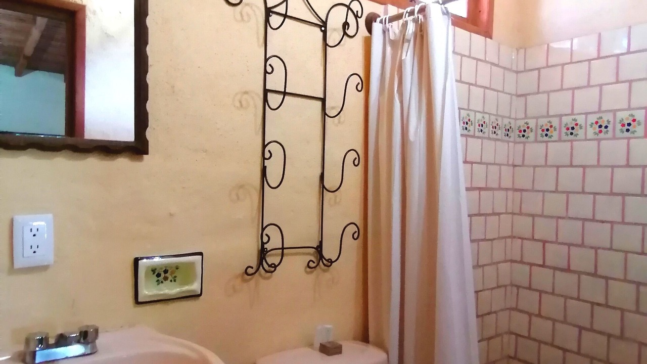 Photo of Bathroom in Mascota