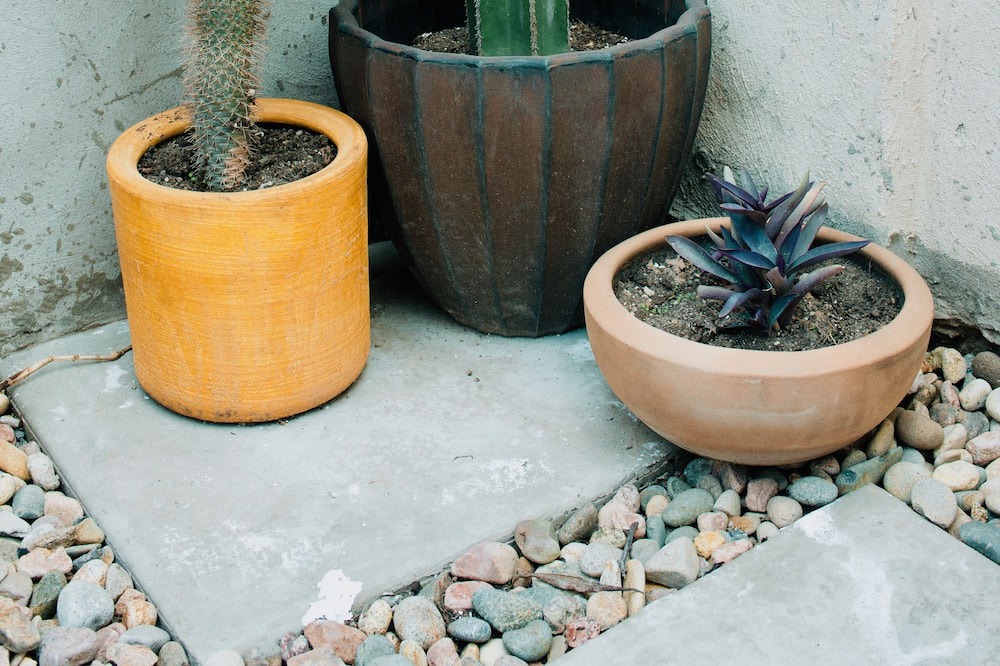 Photo of Outdoor in Juarez Municipality