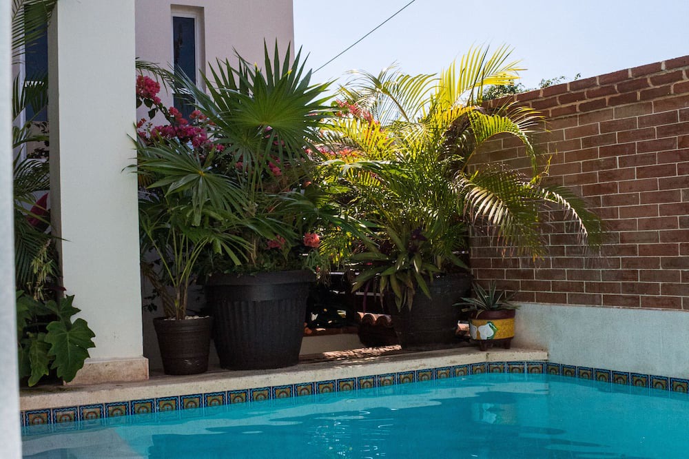 Photo of Outdoor in La Gloria