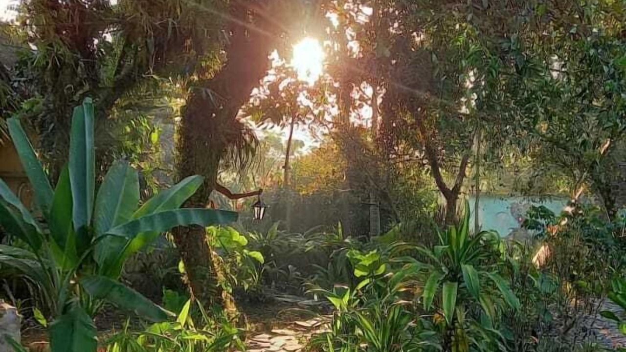 Photo of Outdoor in Xilitla