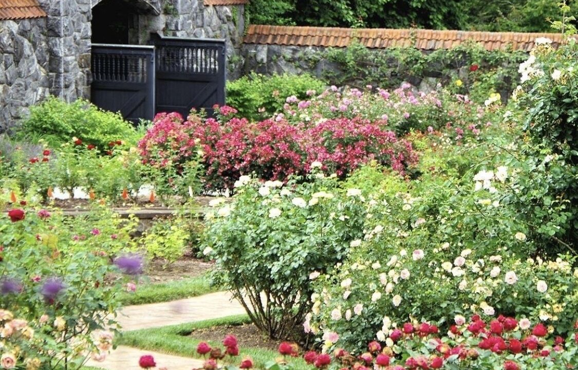 Photo of Outdoor in Asheville