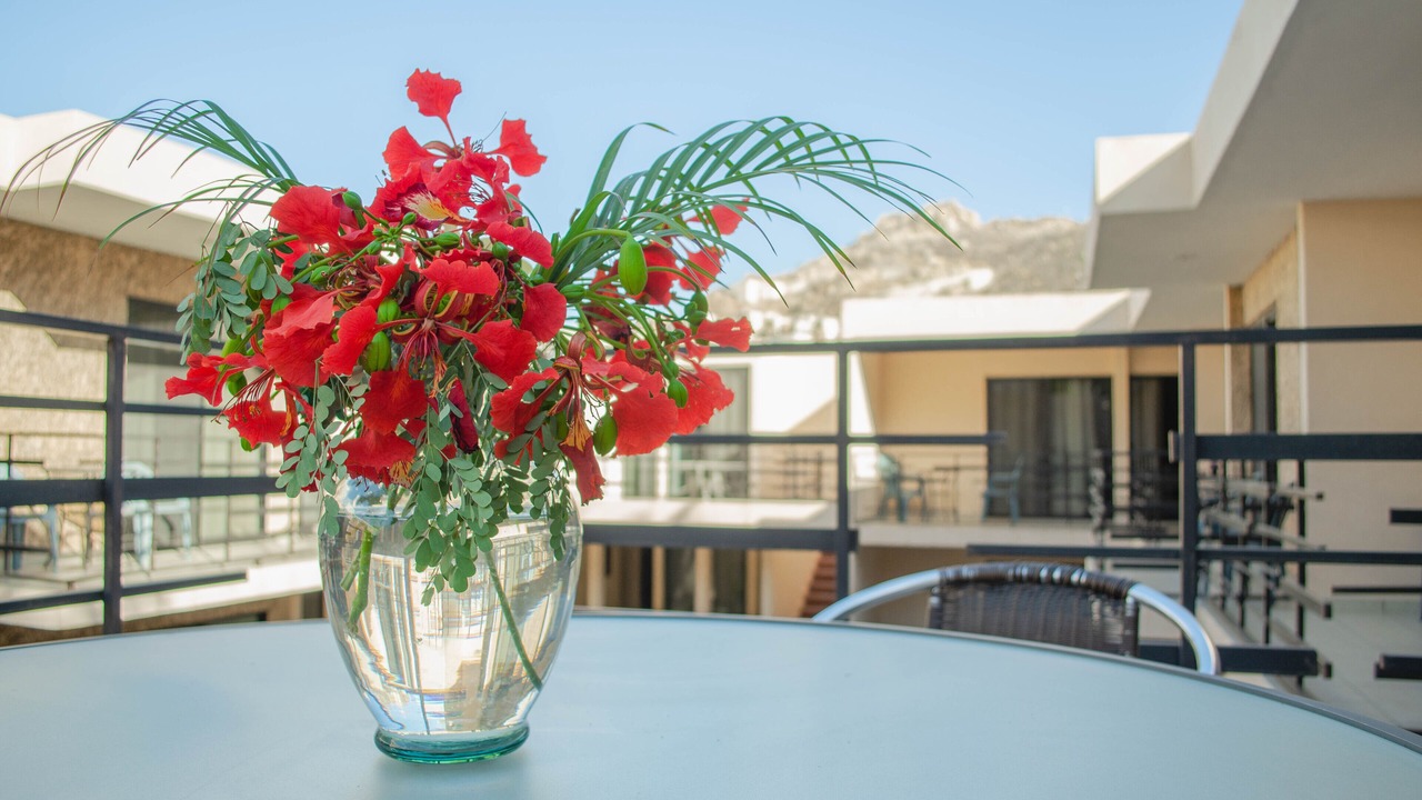 Photo of Patio Balcony in Pedregal