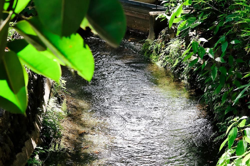 Photo of Outdoor in Chiconcuac