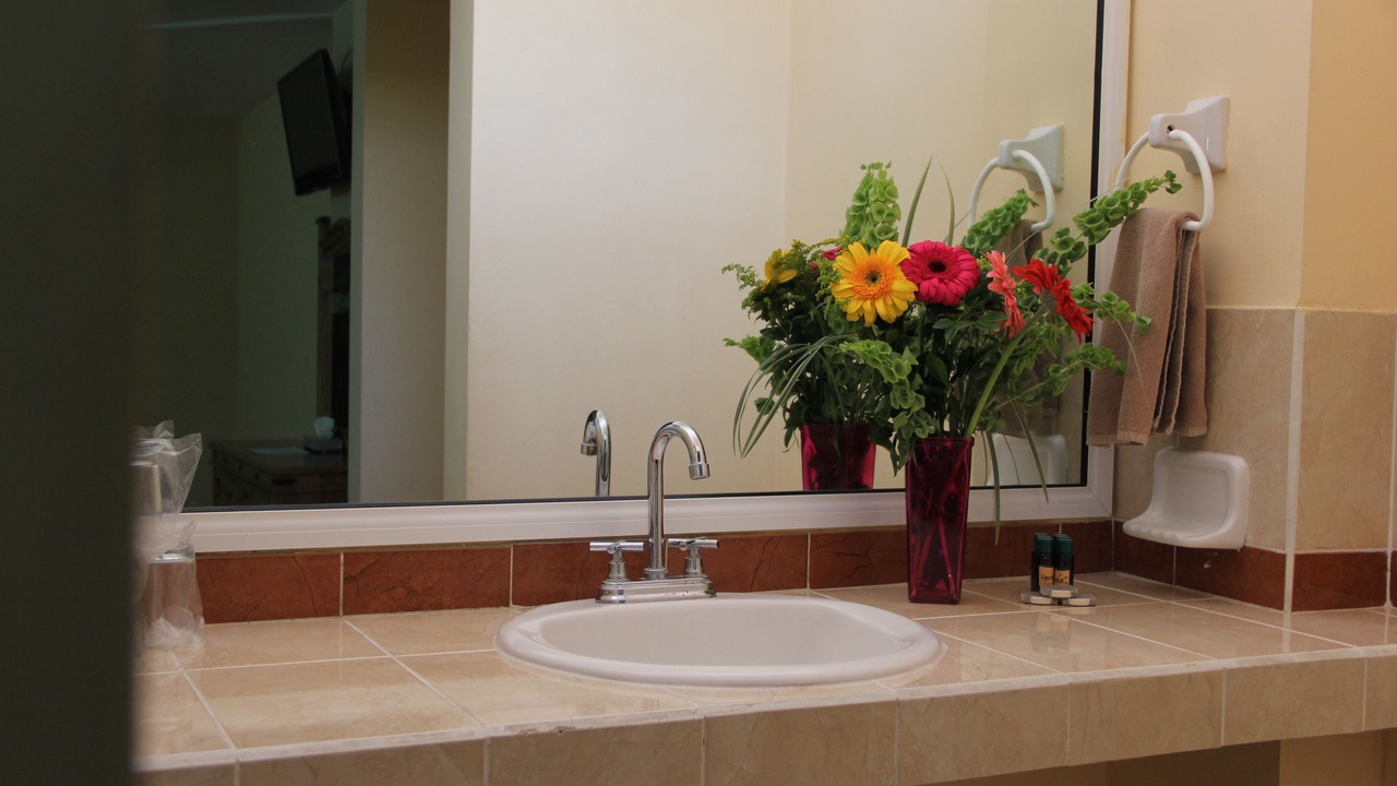 Photo of Bathroom in Zacatecas Centro