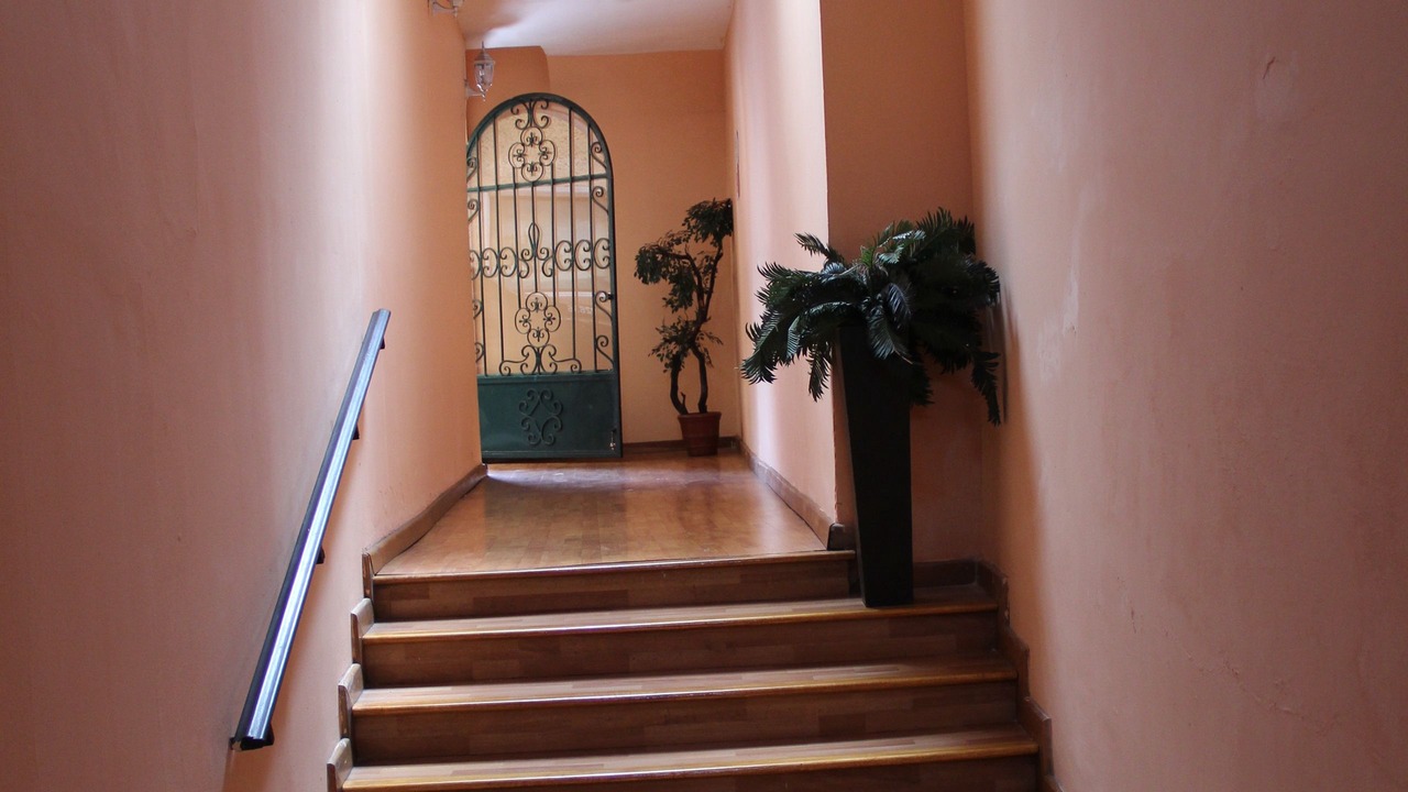 Photo of Others in Zacatecas Centro