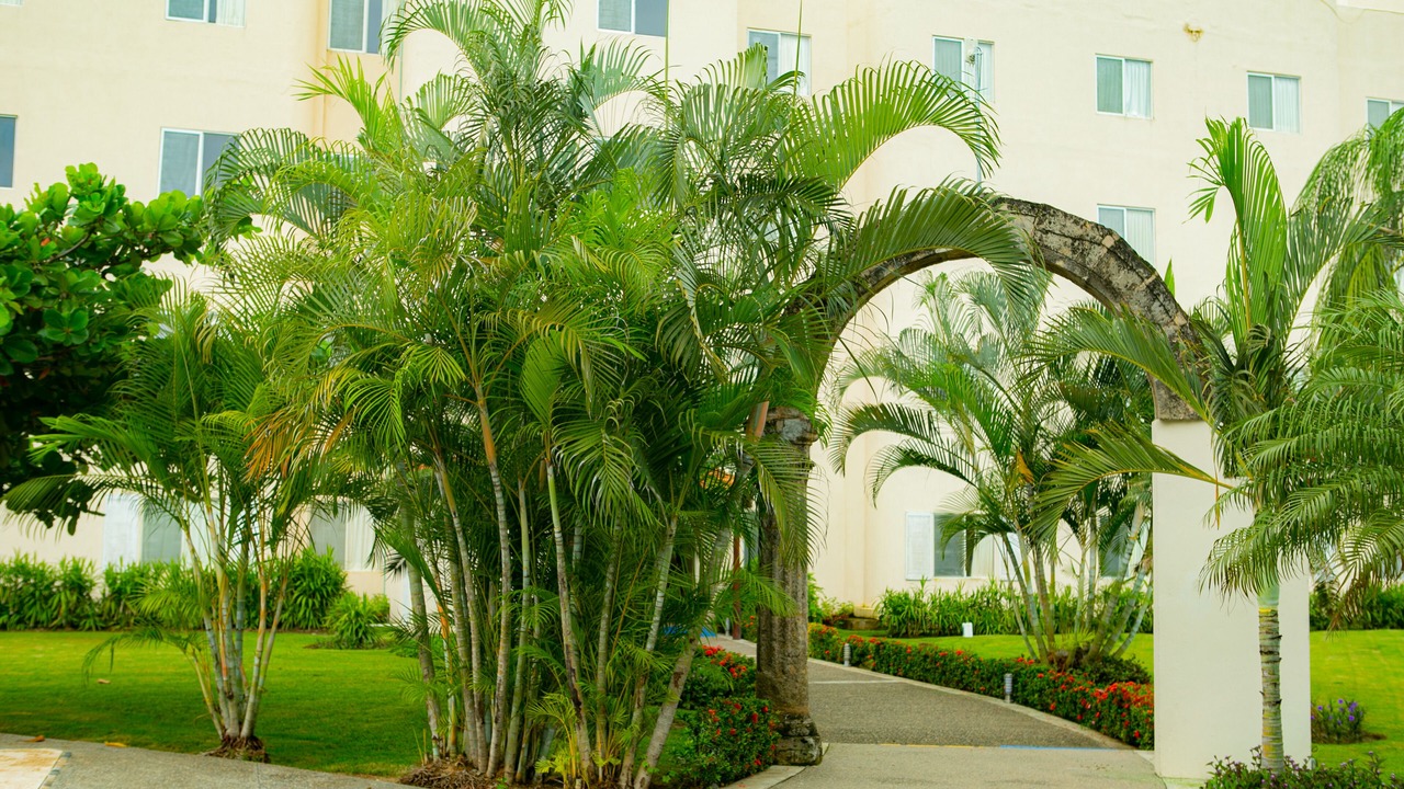Photo of Outdoor in Flamingo