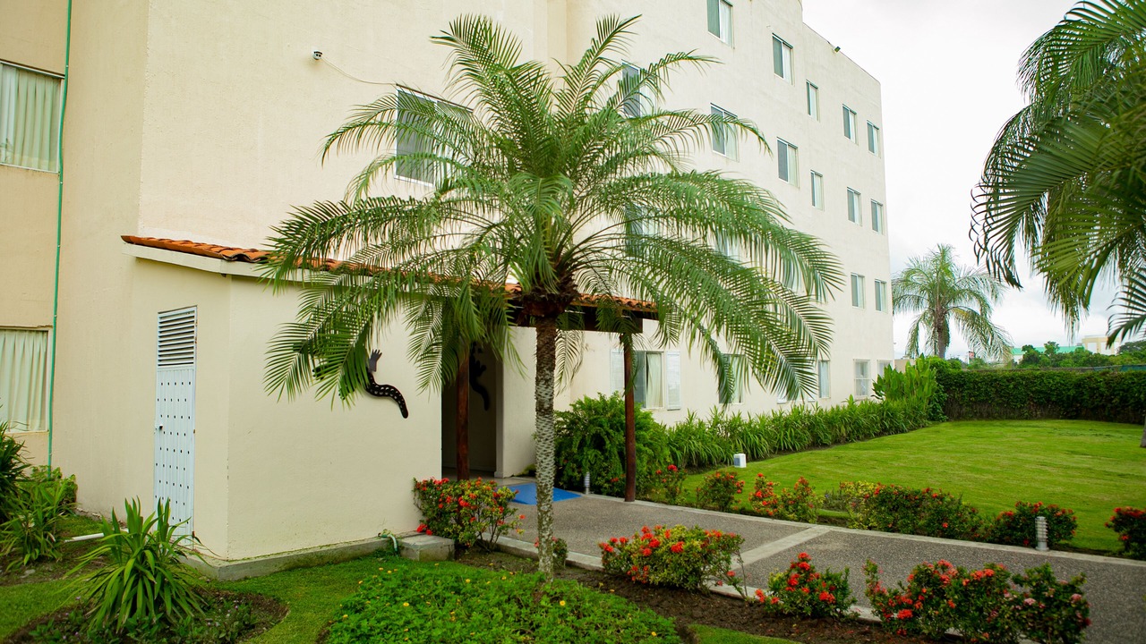 Photo of Outdoor in Flamingo