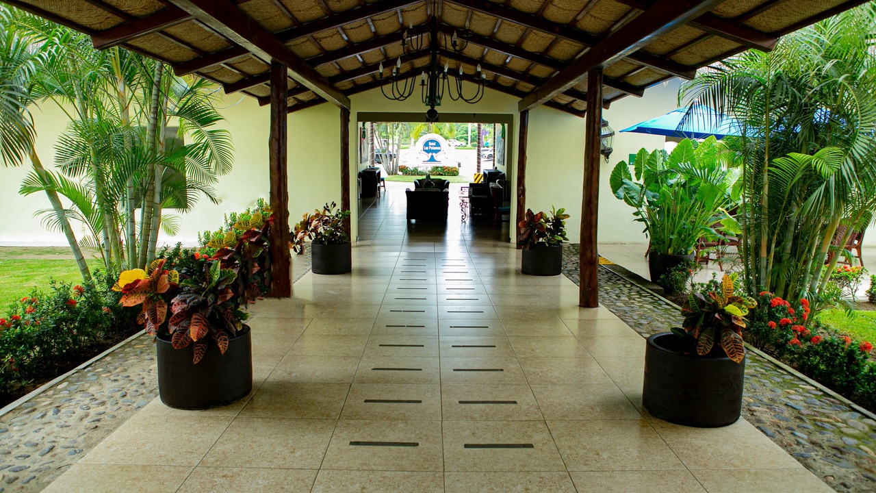 Photo of Others in Flamingo
