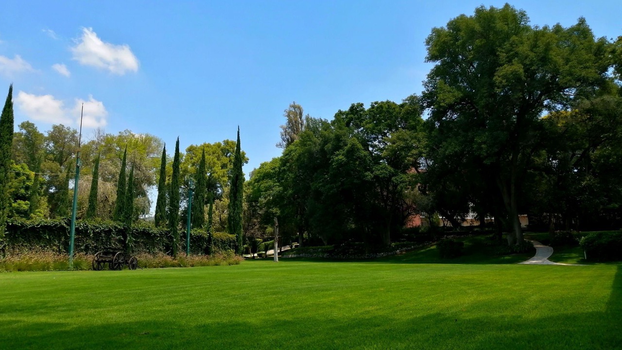 Photo of Outdoor in Tula de Allende