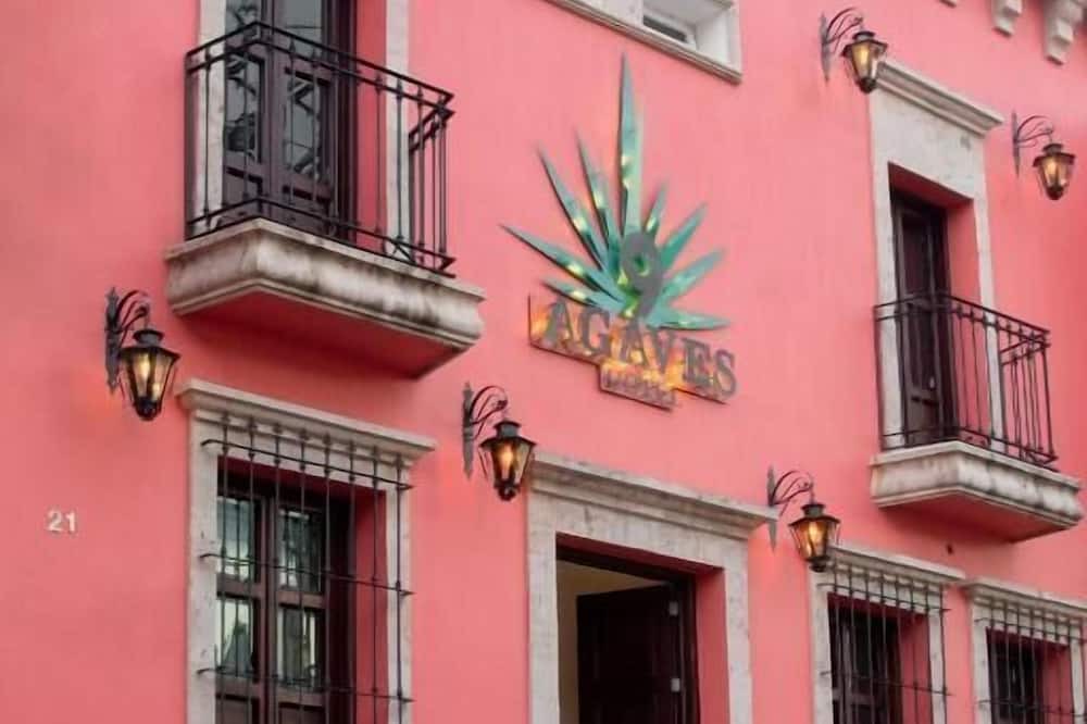 Photo of Outdoor in Tequila