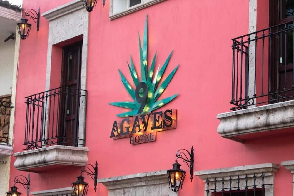 Photo of Outdoor in Tequila