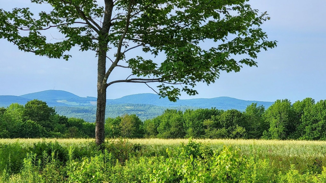 Photo of Outdoor in Jackson