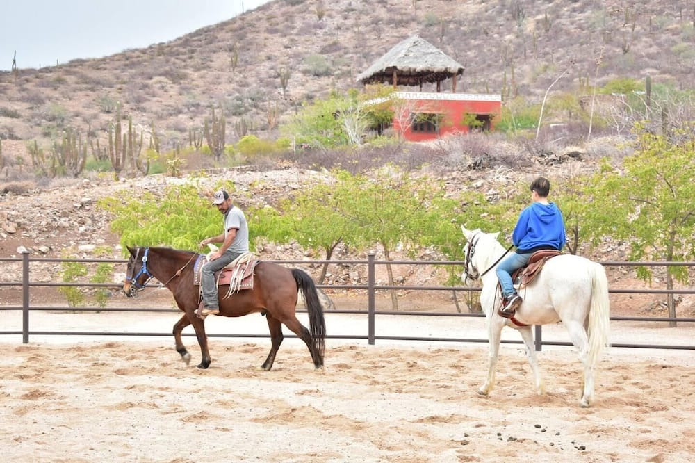 Photo of Others in Pichilingue