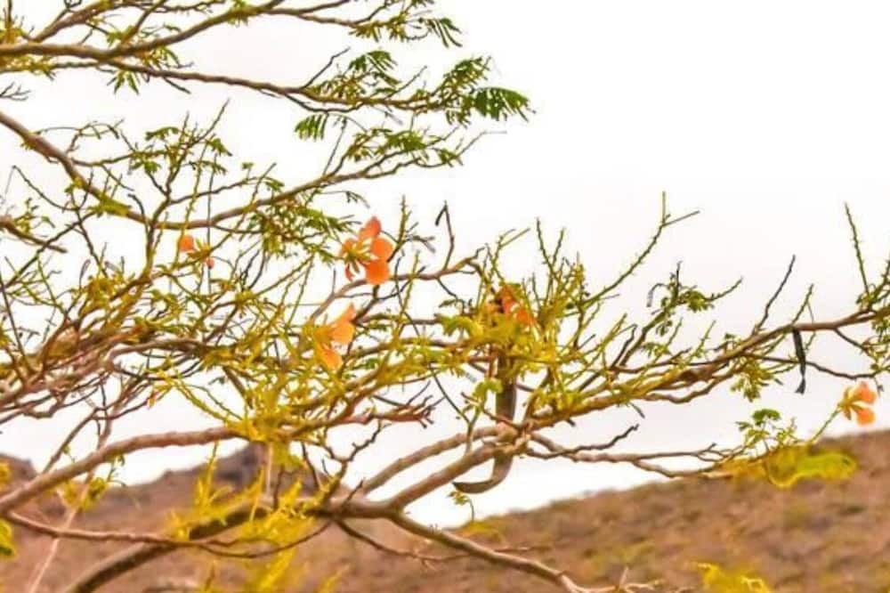 Photo of Others in Pichilingue