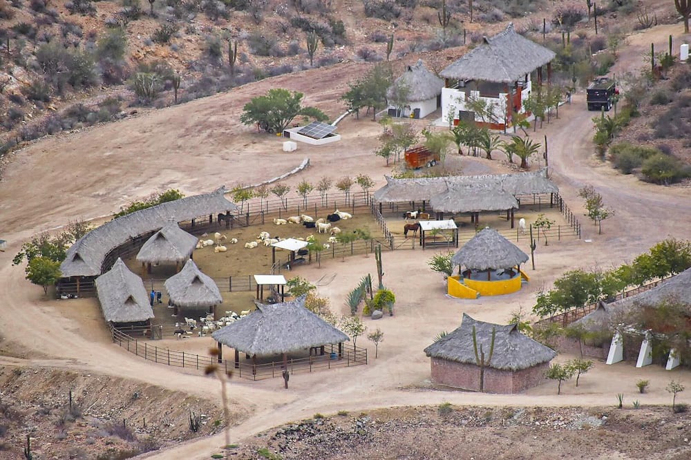 Photo of Others in Pichilingue