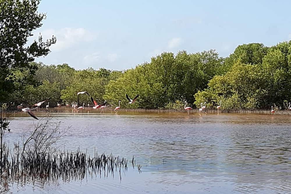 Photo of Outdoor in Hunucma