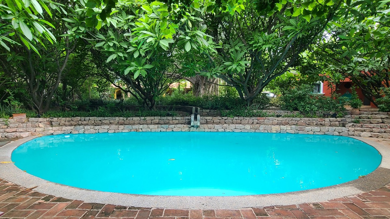 Photo of Outdoor in Alamos