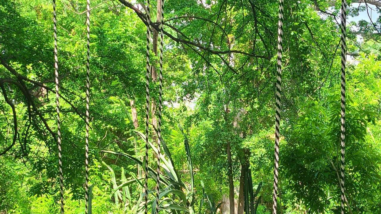 Photo of Outdoor in Alamos