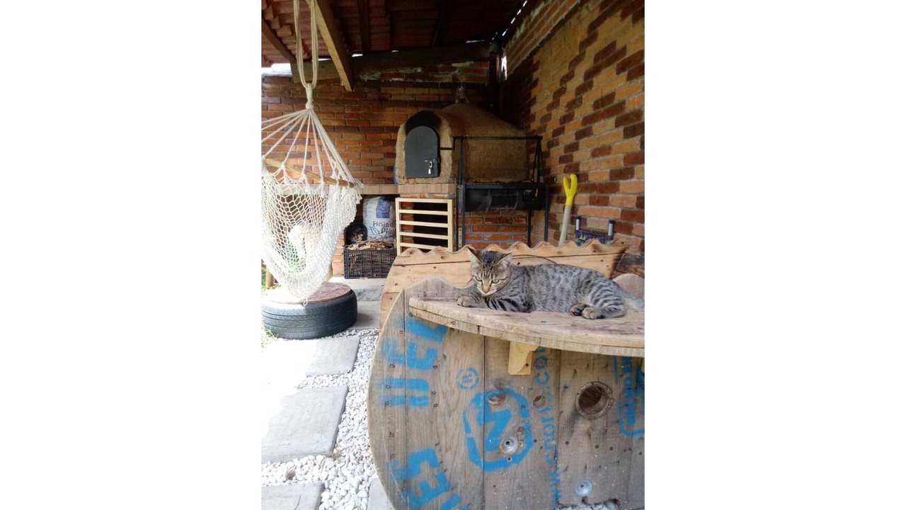 Photo of Outdoor in Apizaco