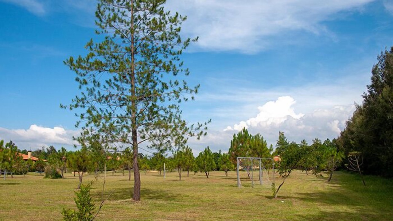 Photo of Outdoor in Tapalpa
