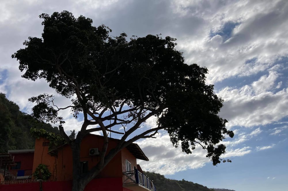 Photo of Outdoor in Cabo Corrientes