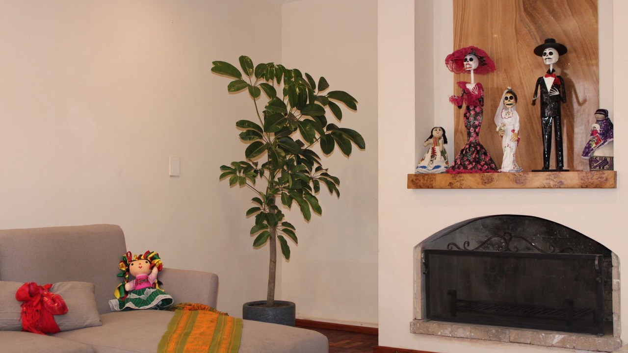 Photo of Livingroom in Coyoacan