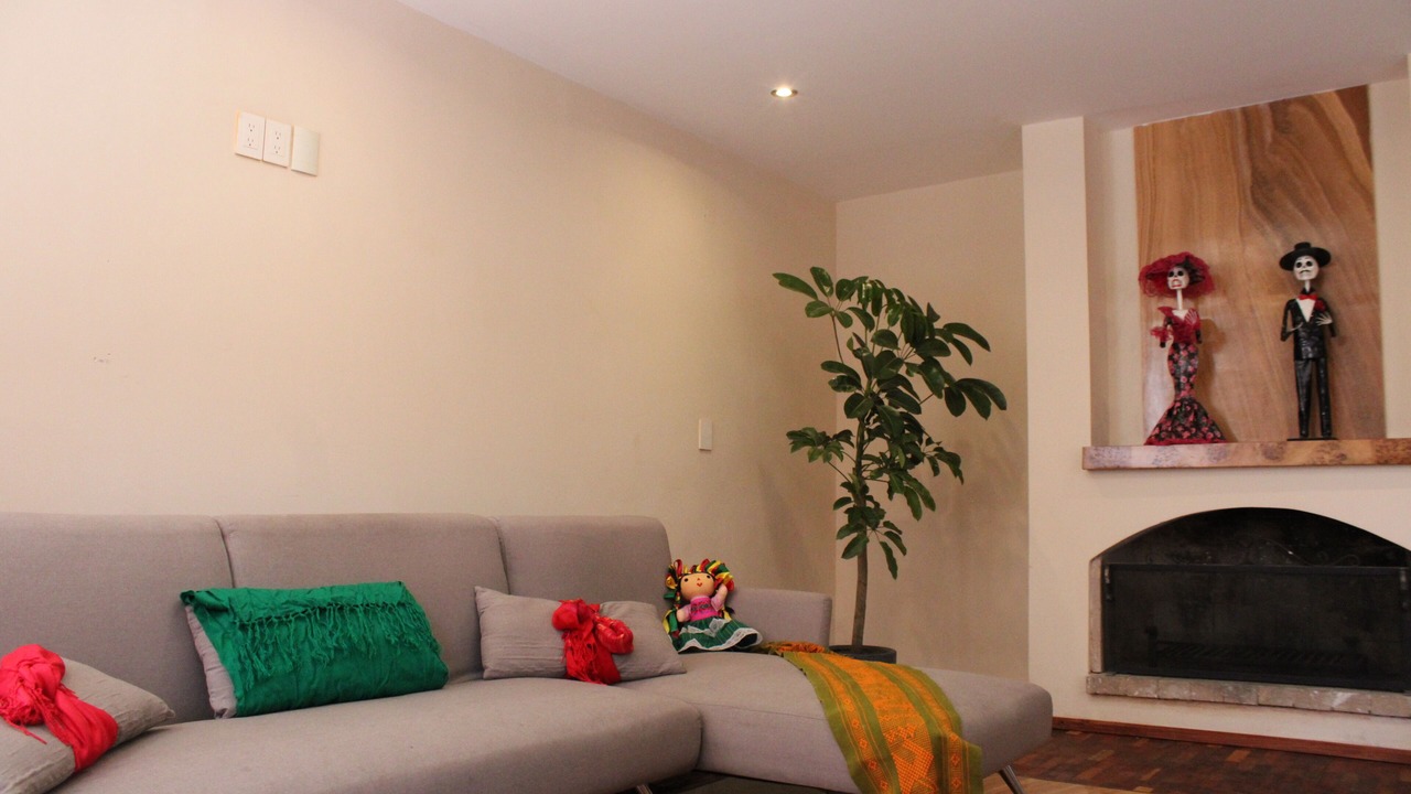 Photo of Livingroom in Coyoacan