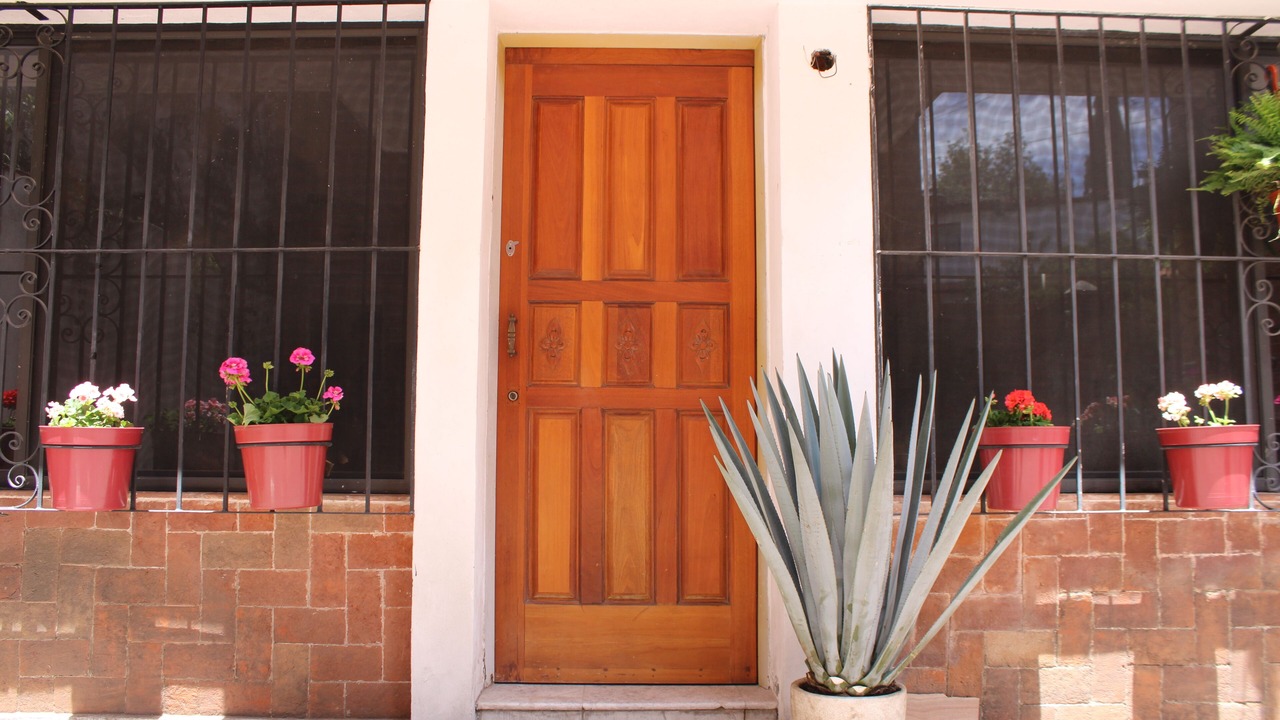 Photo of Outdoor in Coyoacan