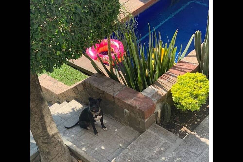 Photo of Outdoor in Rancho Cortes