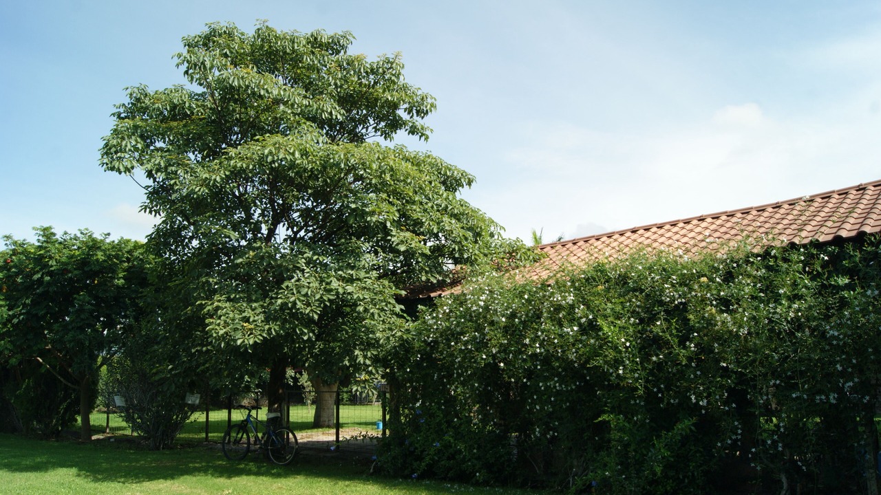 Photo of Outdoor in Santa Maria del Tule