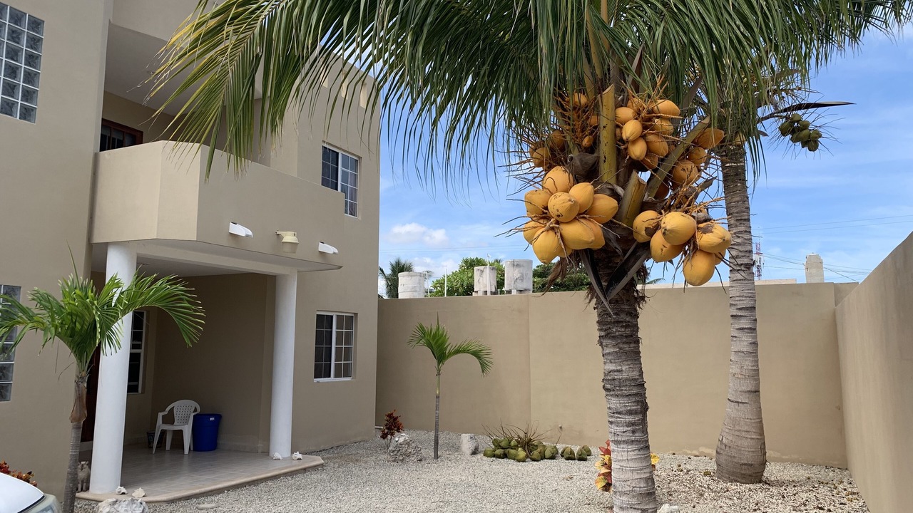Photo of Outdoor in Chelem