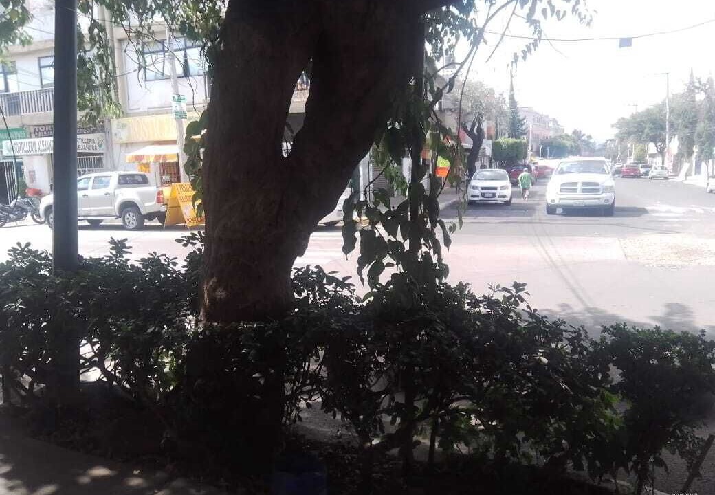 Photo of Outdoor in Ixtacalco