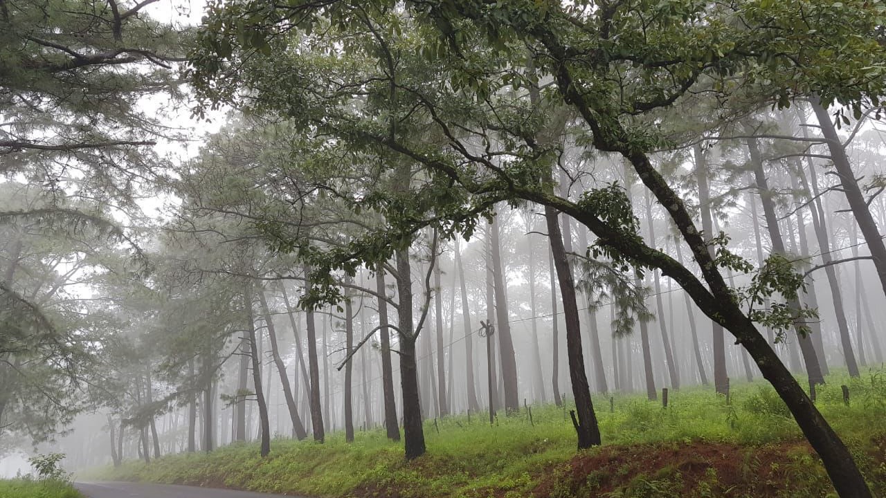 Photo of Outdoor in Mazamitla