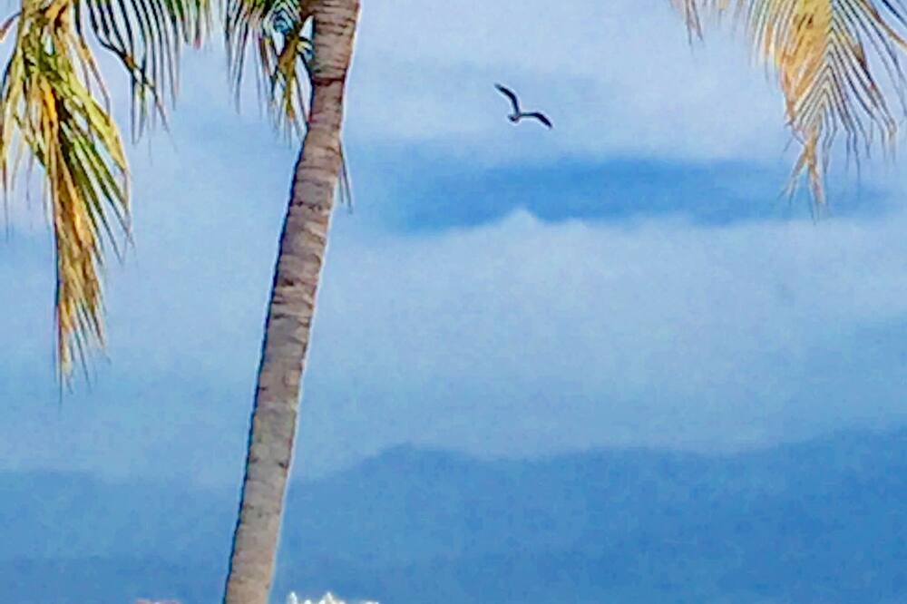 Photo of Others in La Puntilla