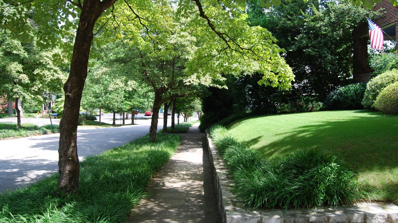 Photo of Others in Brookwood