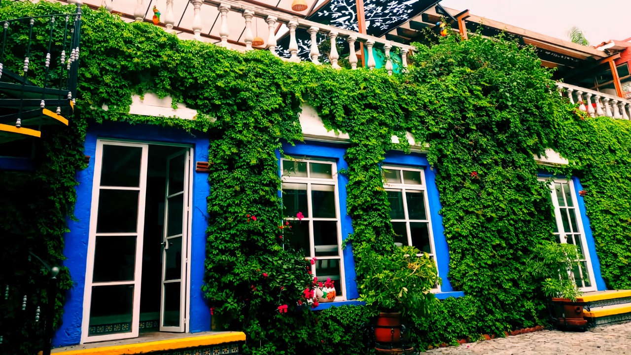 Photo of Outdoor in Puebla