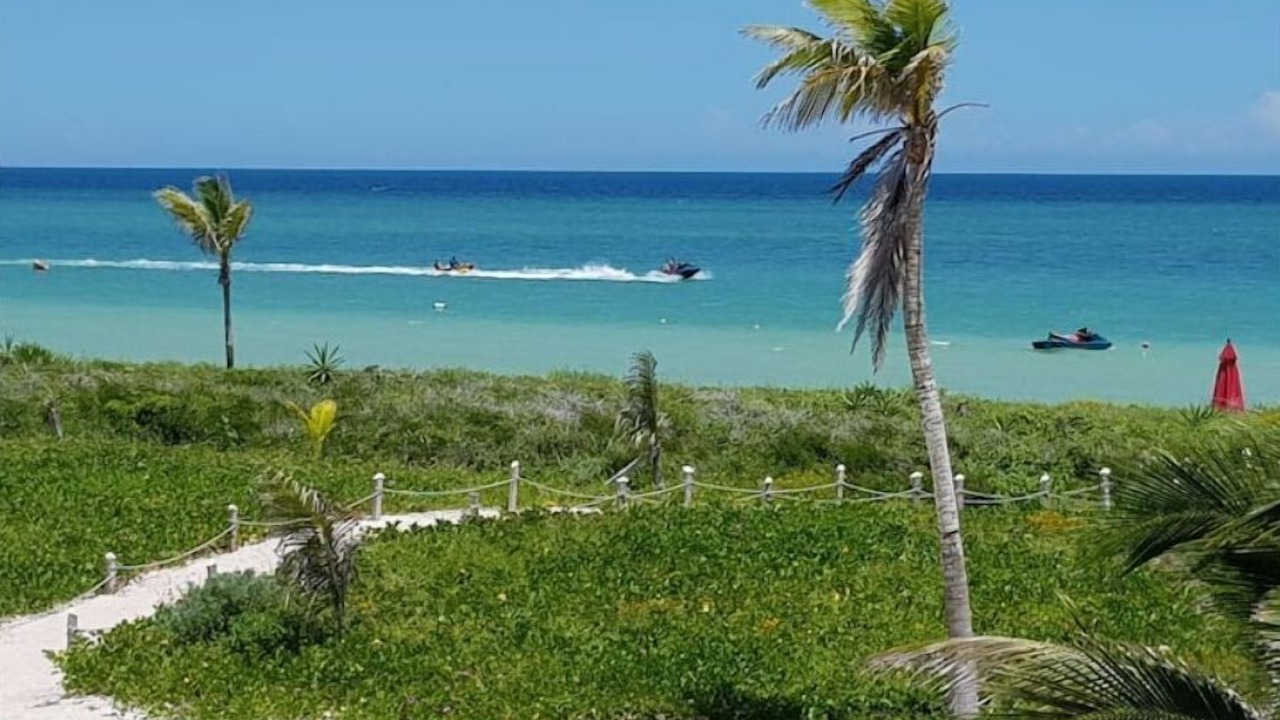Photo of Others in Telchac Puerto
