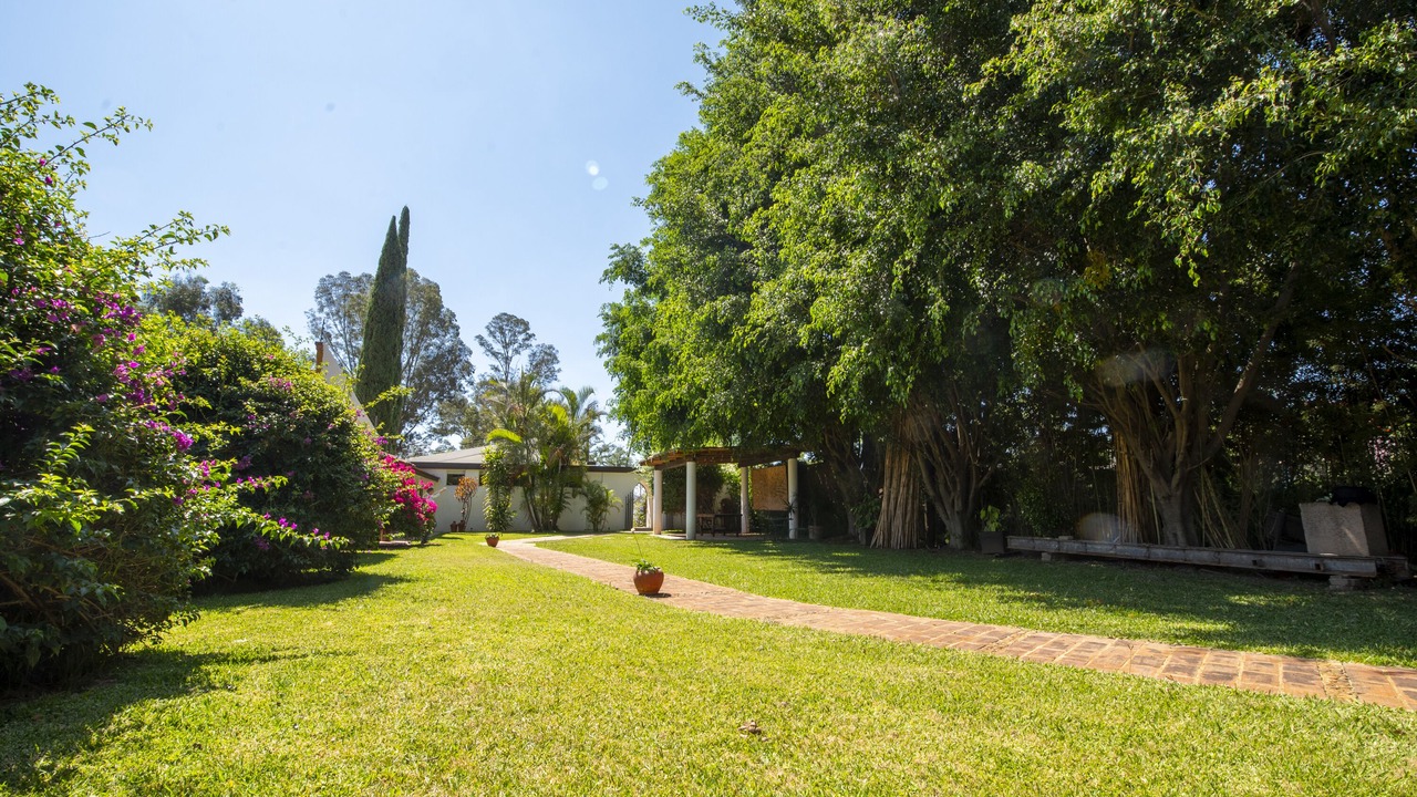 Photo of Outdoor in Cuauhtemoc Cardenas