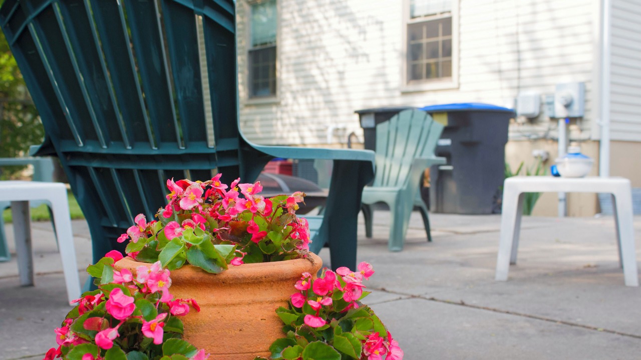 Photo of Outdoor in Mexicantown - Southwest Detroit