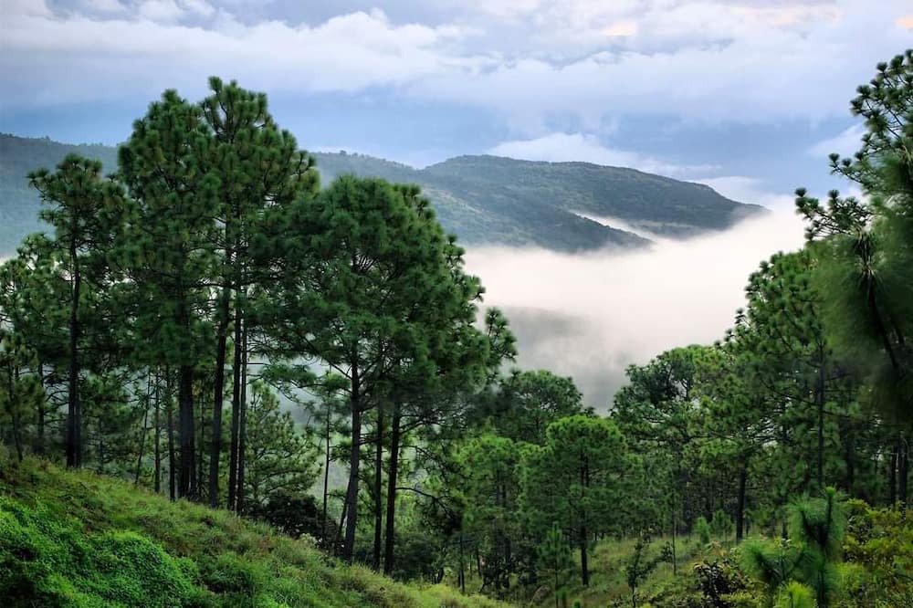 Photo of Outdoor in Tapalpa