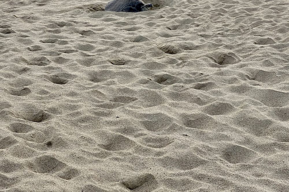Photo of Others in Santa Rosa