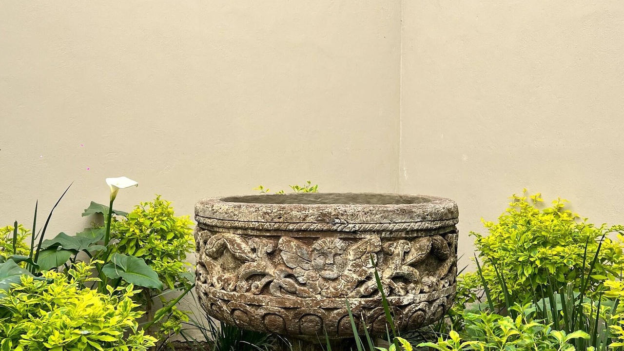 Photo of Outdoor in Arcos de San Miguel